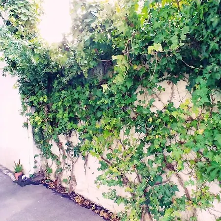 Bed & Breakfast Minicurcu Acireale